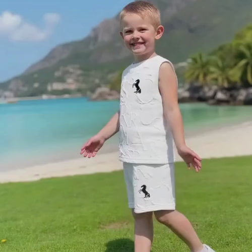 Toddler Boys Casual Outfit
